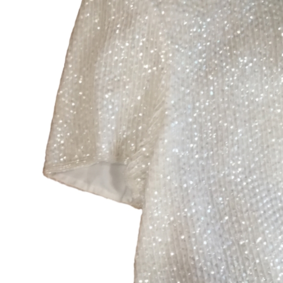 NWT Adrianna Papell Evening Sequin Silk Top - Picture 5 of 8